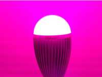 環保節能LED植物生長補光燈(高功率 High-power  LED Plant Grow Lights 植物燈(6R：1B))