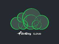 一年附加訂閱(BirdDog Cloud鳥狗雲軟體一年附加訂閱 / 兩使用者)