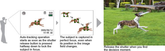 Auto-Tracking AF for Constant Focus on an Active Subject