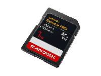 Ū���̰�310MB/�� �g�J��305MB/�� �ר��O�T(SANDISK�{�}Extreme PRO SD UHS-II V90 1T�O�Хd(305M��))